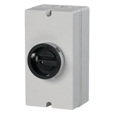 Telergon Switch disconnector, size 00, 2-pole, 32A - Rubicon Installer Portal